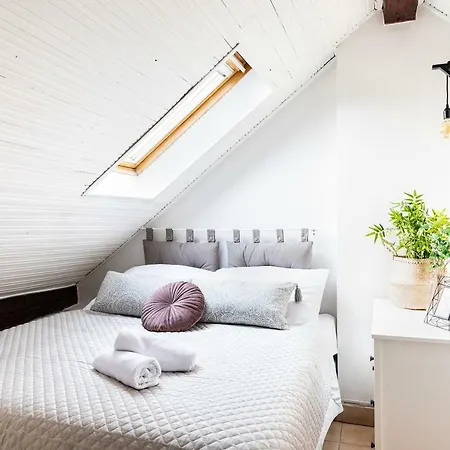 Boris' Old Town Apartment