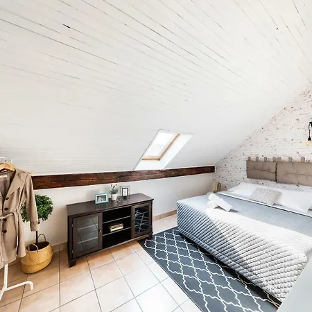 Boris' Old Town Apartment